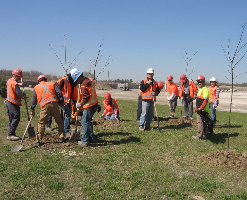 CAP tree planting