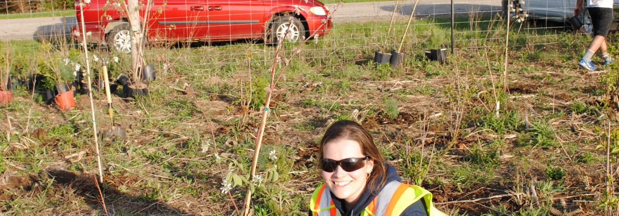 Dufferin Aggregates Employee watering a newly planted tree at the Dufferin Aggregates Paris Pit