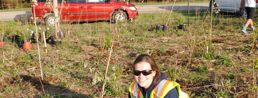 Dufferin Aggregates Employee watering a newly planted tree at the Dufferin Aggregates Paris Pit